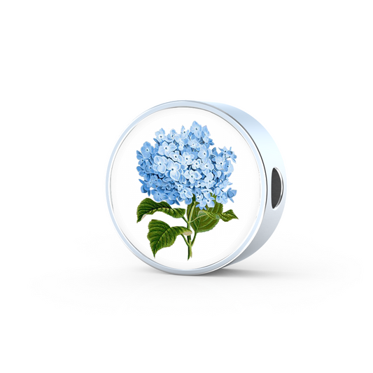 Round Charm: Hydrangeas